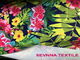 Tintenstrahl-Digital-Druckblumenbadebekleidungs-Gewebe mit kundengebundenem Muster